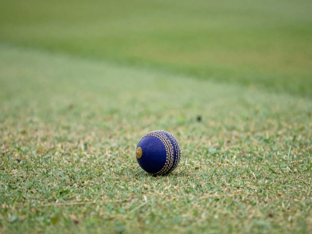 Telephoto detail of a cricket ball on a green pitch under natural